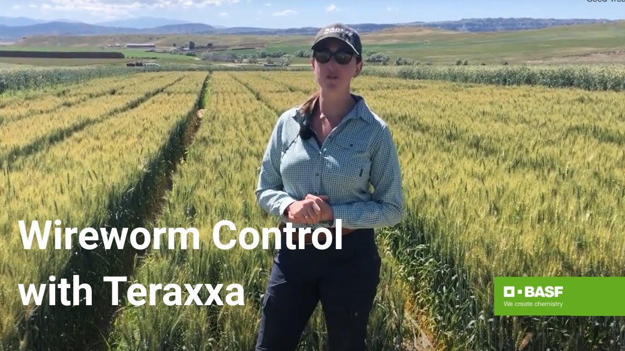 Reddy Anna ID: Comprehensive Guide to Its Benefits, Access, and Community Impact